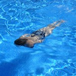 Limpieza de piscinas