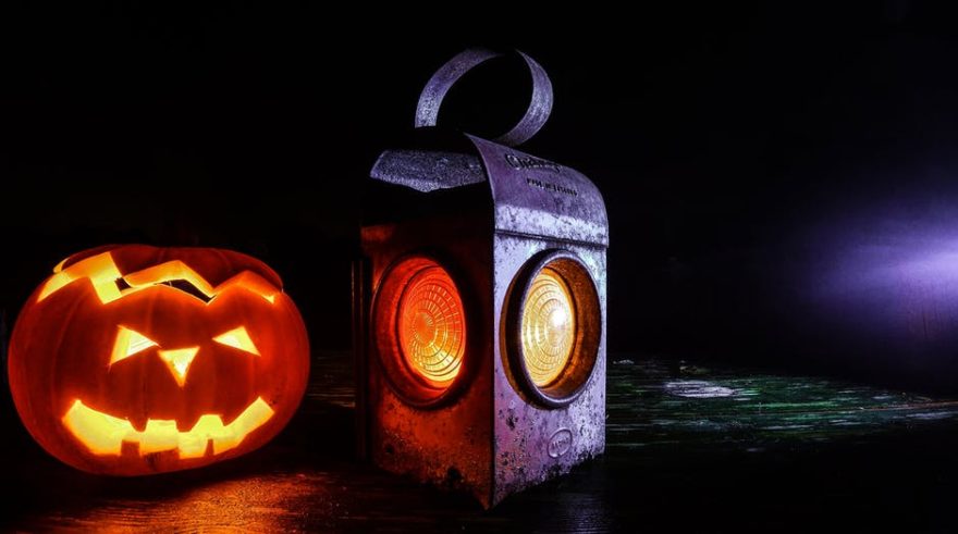 Manualidades para Halloween con papel higiénico